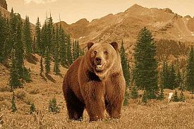 Ковер с медведем DA VINCI FAUNA Z903 BROWN Медведь