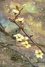 Шерстяной ковер лиловый Hunnu Цветы 6A1555-165